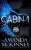 Cabin 1: Steele Shadows Security, Book 1